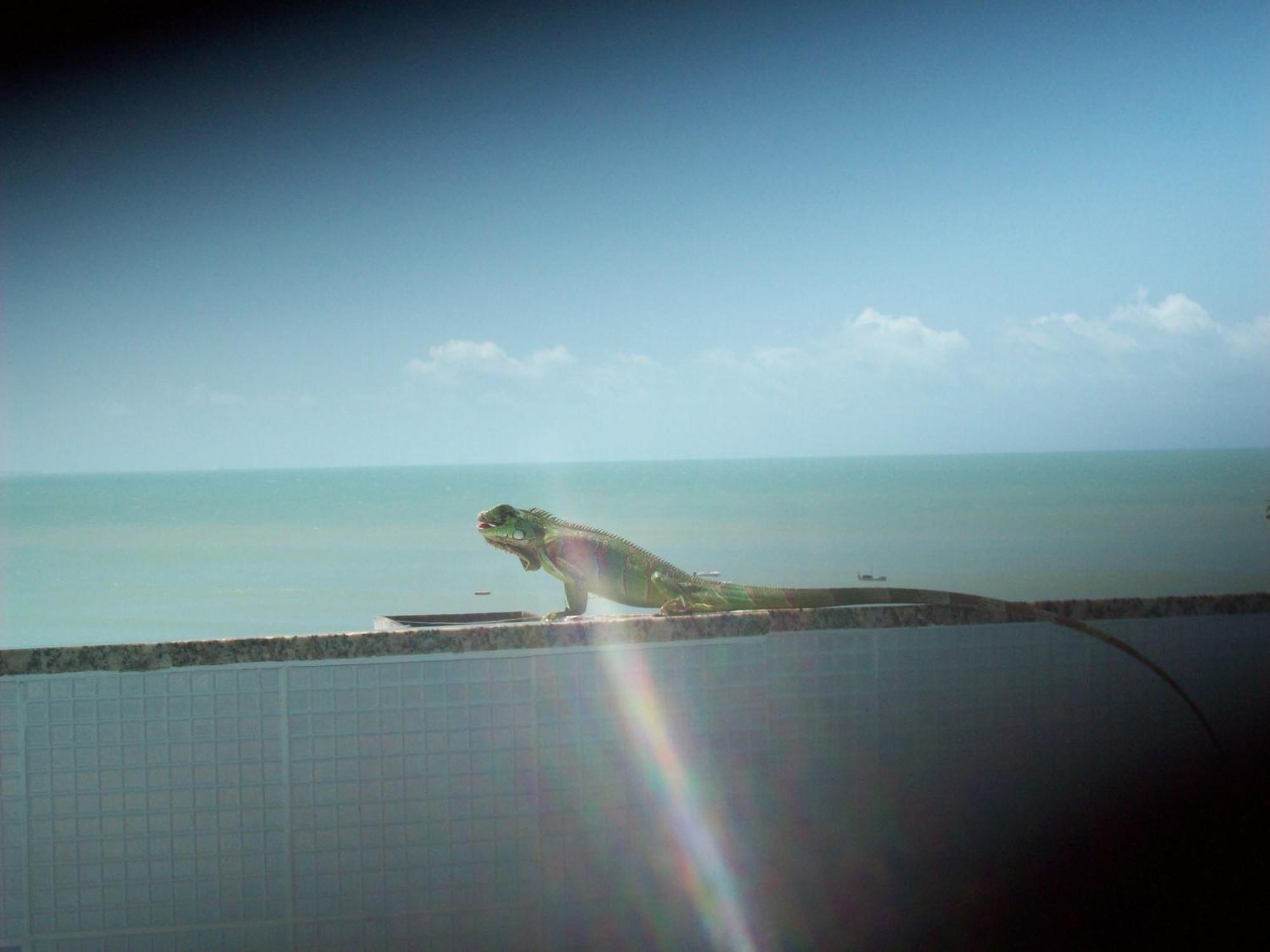 Hotel Pousada Estacao Do Sol Natal Extérieur photo